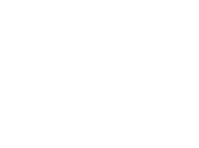 BTBS, Bridges to Build Syria